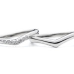 Wing