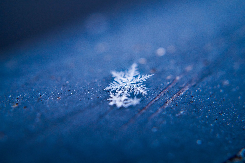 雪